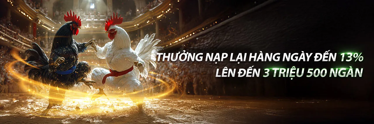 Hướng dẫn chi tiết cho người mới bắt đầu tại 66club bet